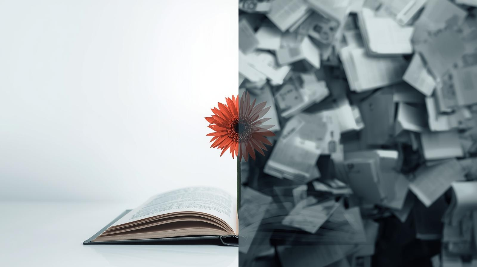 Partial Convolution Meets Visual Attention - arXiv.org